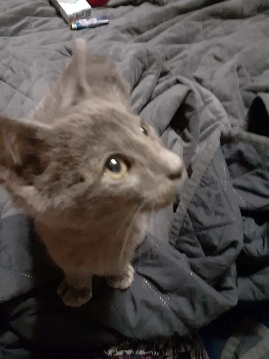 Ponca Animal Hospital Picture 6