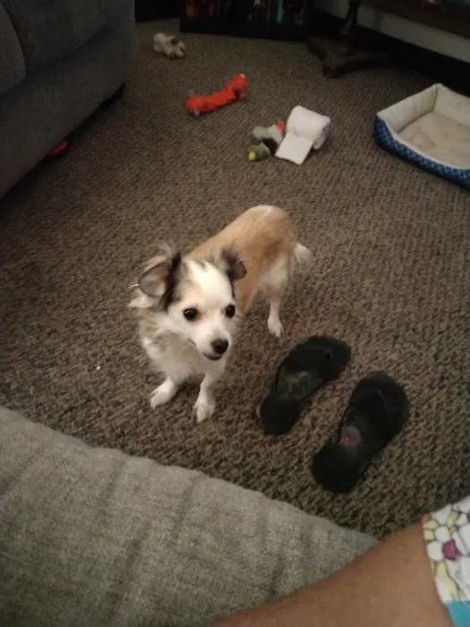 Ponca Animal Hospital Picture 10