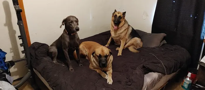 Ponca Animal Hospital / Dr. Lisa D Good Picture 2