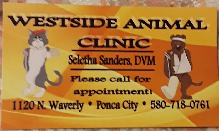 Westside Animal Clinic Picture 3
