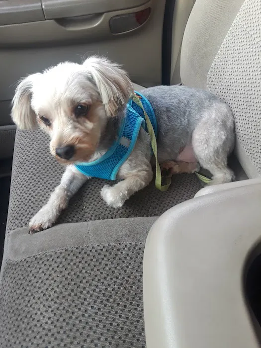 Westside Animal Clinic Picture 1