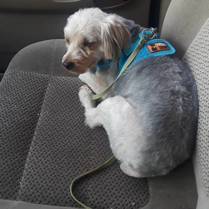 Westside Animal Clinic Picture 4