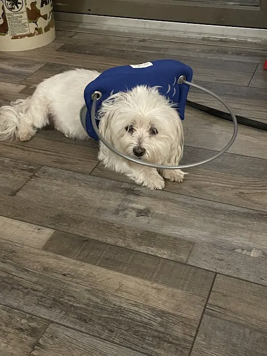 Westside Animal Clinic Picture 6