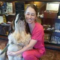 North Central Veterinary Services ico