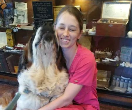 North Central Veterinary Services