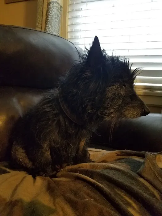 North Central Veterinary Services Picture 7