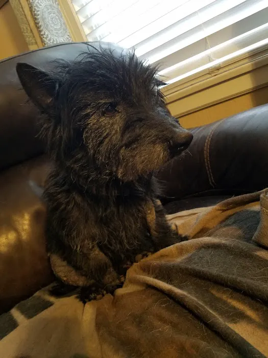 North Central Veterinary Services Picture 5