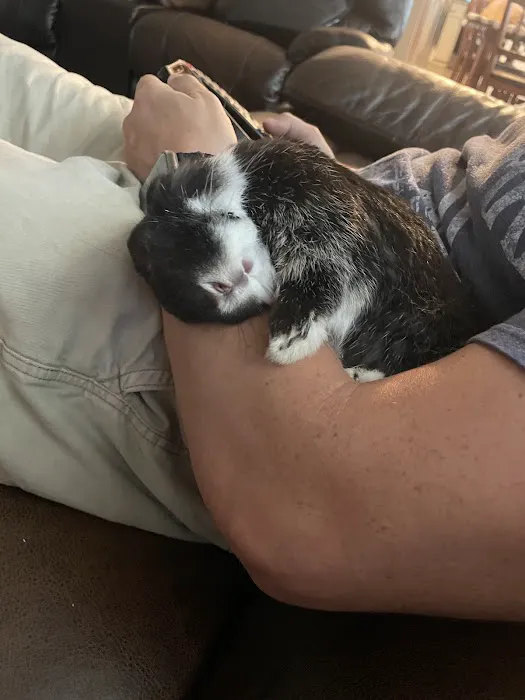 Gentle Care Animal Hospital Picture 4