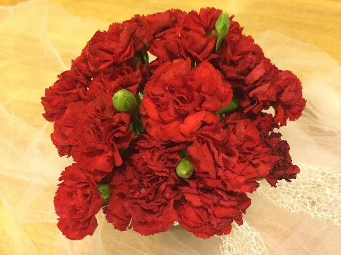 Gentle Care Animal Hospital Picture 8