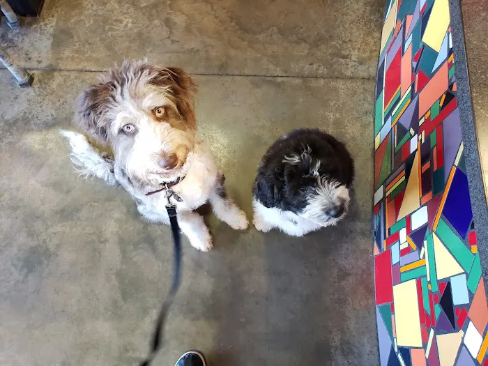 Gentle Care Animal Hospital Picture 9