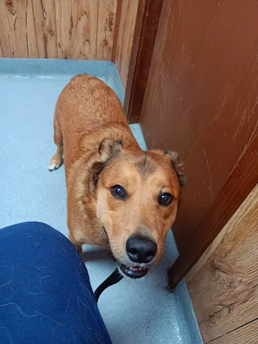 Family Pet Hospital Picture 1