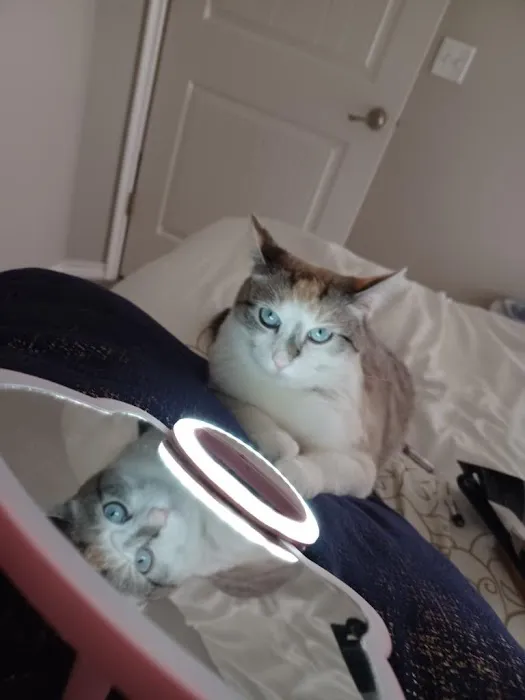 Family Pet Hospital Picture 3