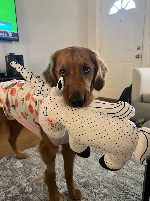 Family Pet Hospital Picture 6