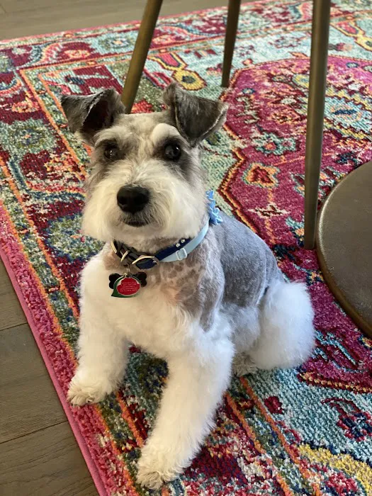 Family Pet Hospital Picture 7