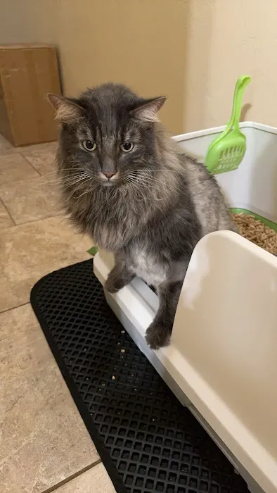 Livewell Animal Hospital of Edmond Picture 2