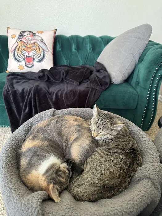 Livewell Animal Hospital of Edmond Picture 1