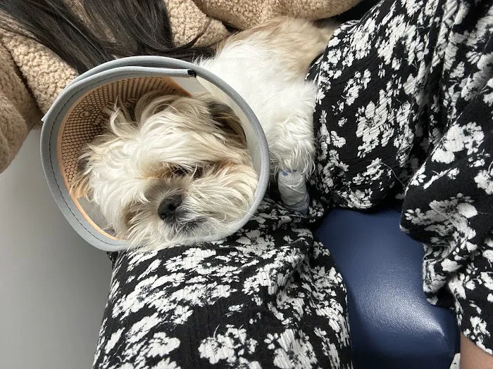 Livewell Animal Hospital of Edmond Picture 6