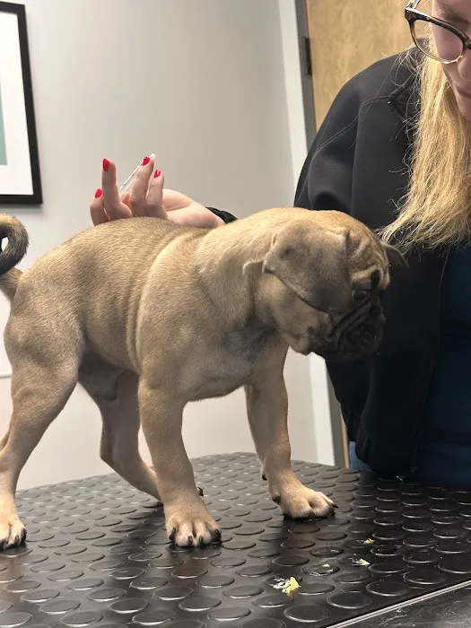 Livewell Animal Hospital of Edmond Picture 4