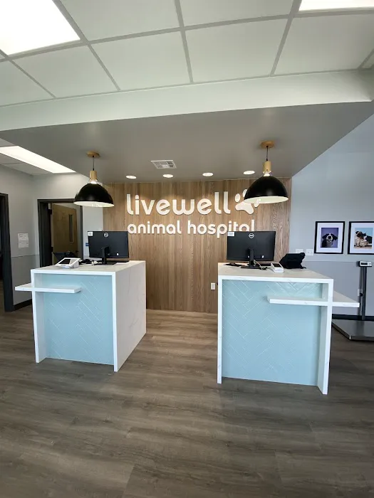 Livewell Animal Hospital of Edmond Picture 10