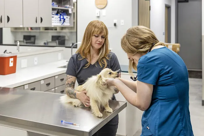 Livewell Animal Hospital of Edmond Picture 9
