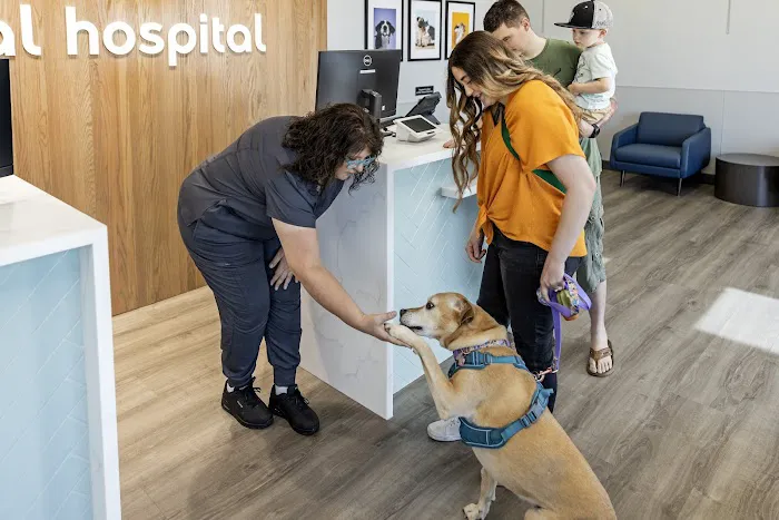 Livewell Animal Hospital of Edmond Picture 8