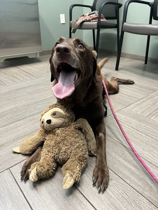 BluePearl Pet Hospital Picture 3