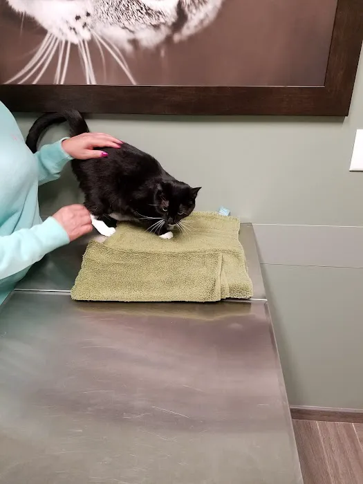 BluePearl Pet Hospital Picture 7