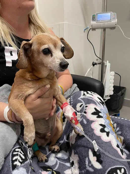 Veterinary Emergency Group Picture 2