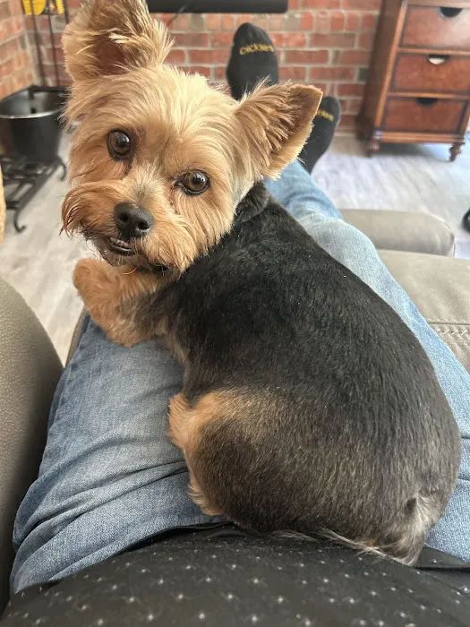 Veterinary Emergency Group Picture 7