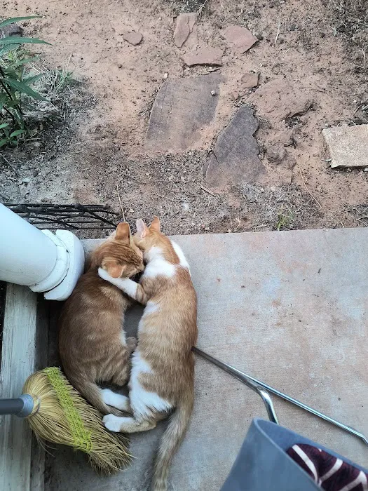 CityVet | Edmond Veterinary Clinic & Urgent Care Picture 5