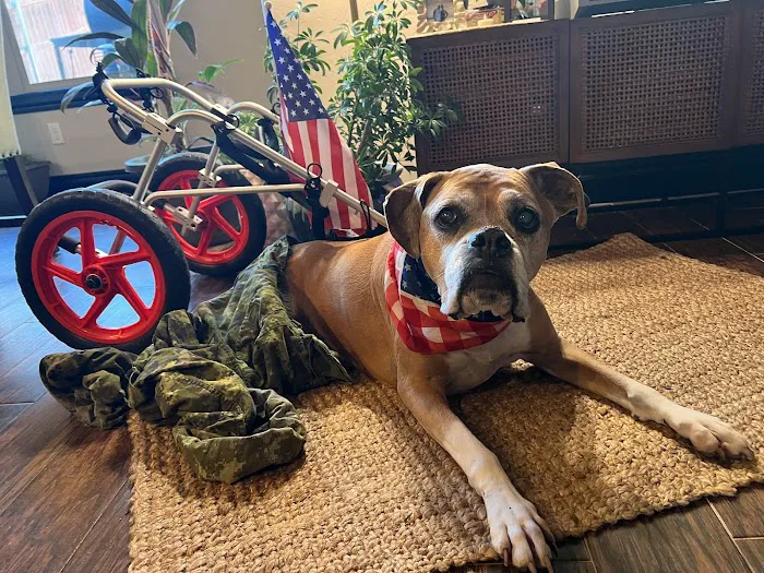 Paws at Peace Picture 5