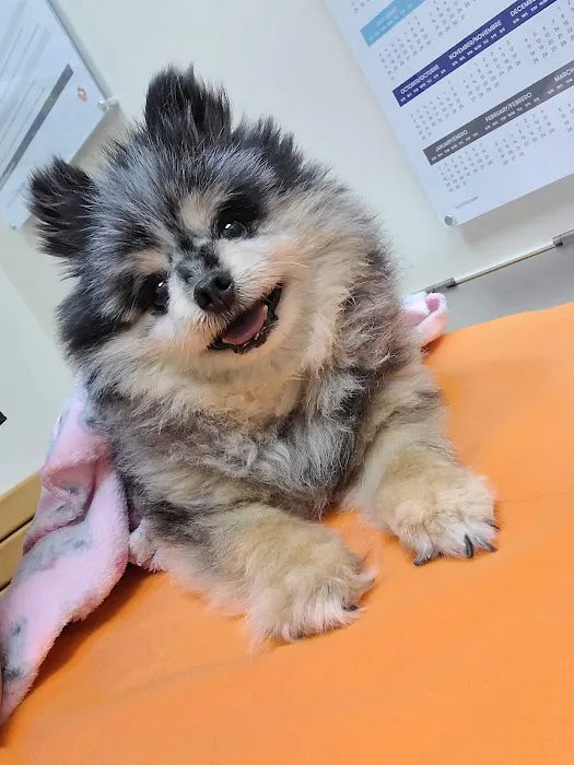 Banfield Pet Hospital Picture 2