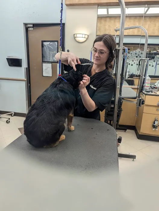 Banfield Pet Hospital Picture 3