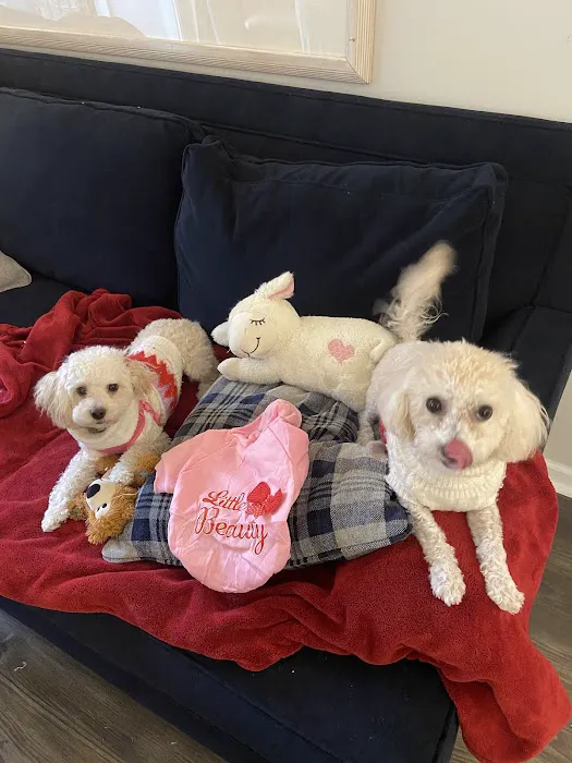 Banfield Pet Hospital Picture 1