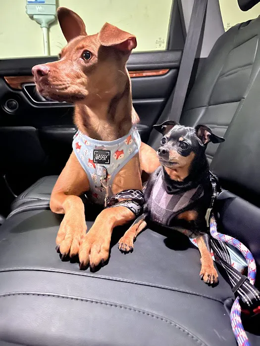 Banfield Pet Hospital Picture 7