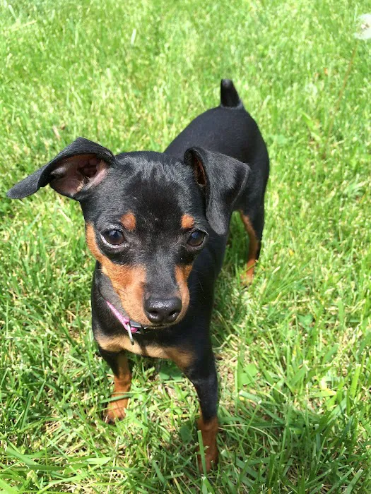 Banfield Pet Hospital Picture 6