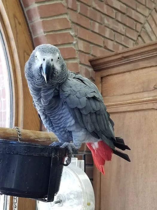 Nichols Hills Pet Clinic Picture 1