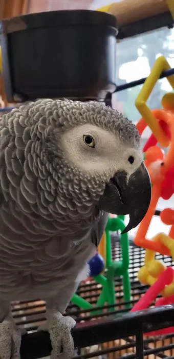 Nichols Hills Pet Clinic Picture 2