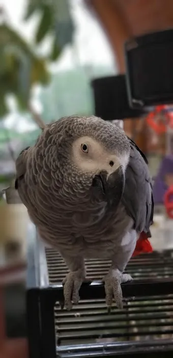 Nichols Hills Pet Clinic Picture 4