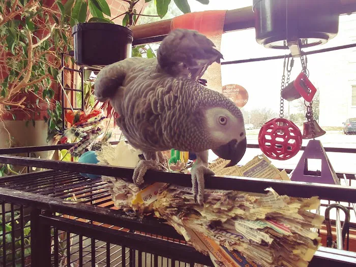 Nichols Hills Pet Clinic Picture 9