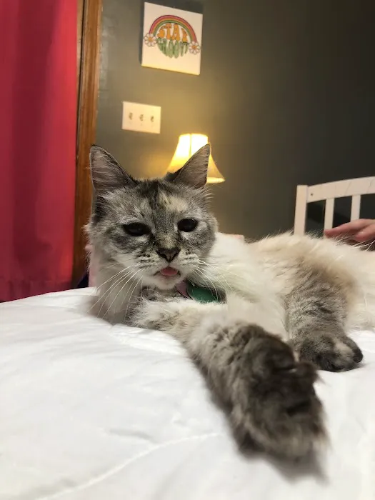 Pet Friends Veterinary Hospital Picture 3