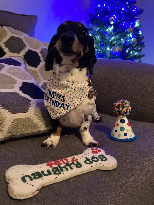 Pet Friends Veterinary Hospital Picture 9