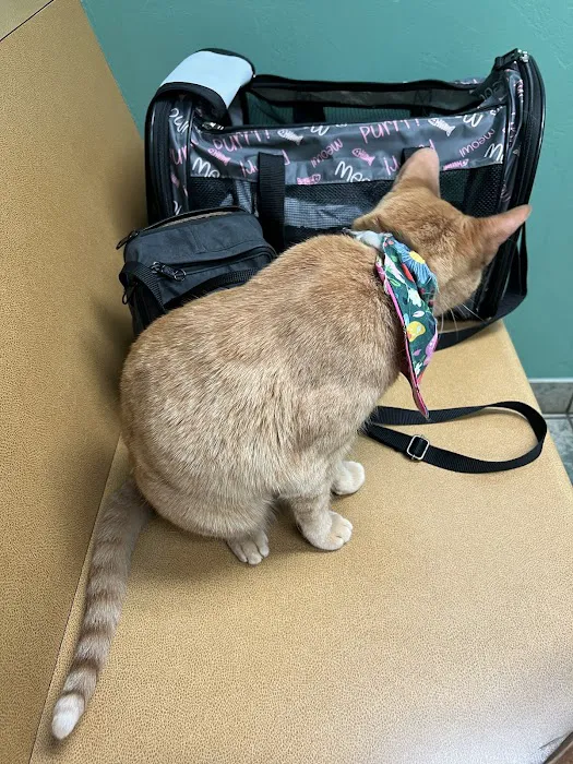 Classen View Veterinary Clinic Picture 2