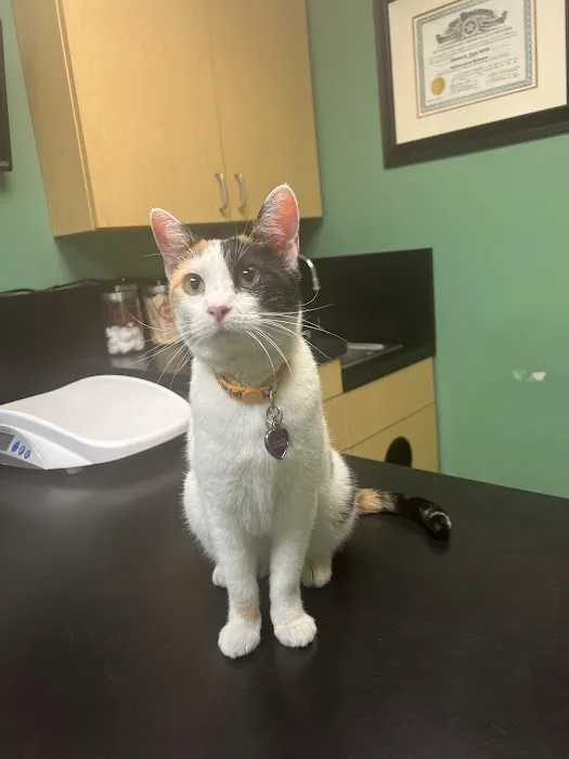 Classen View Veterinary Clinic Picture 3