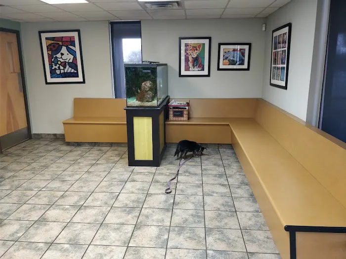 Classen View Veterinary Clinic Picture 1