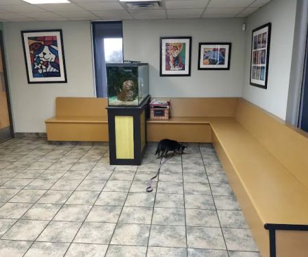 Classen View Veterinary Clinic