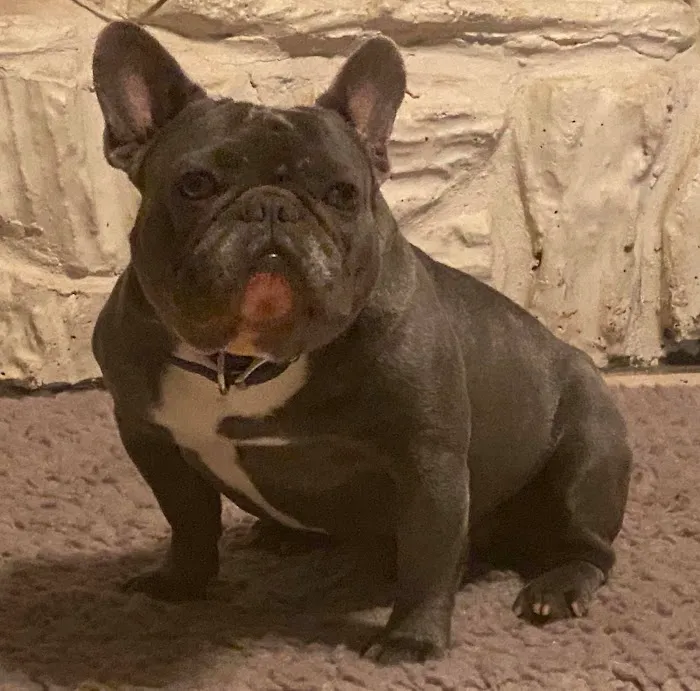 Classen View Veterinary Clinic Picture 5