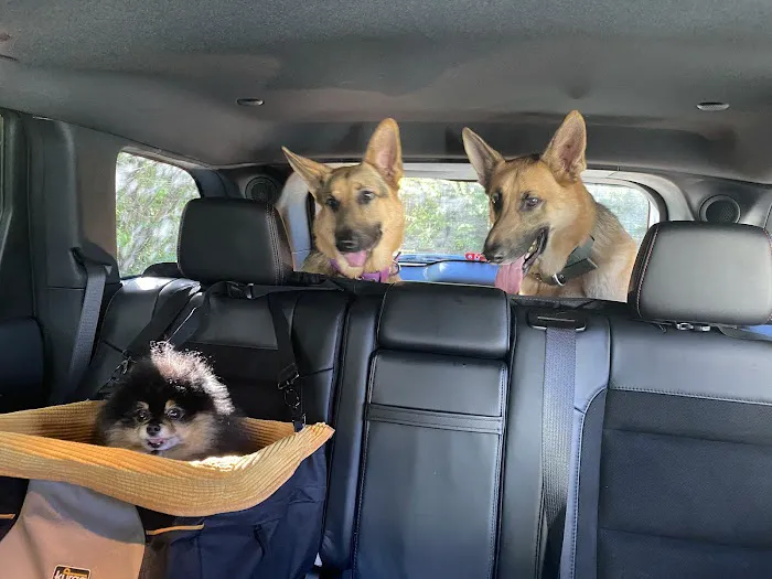 Classen View Veterinary Clinic Picture 6