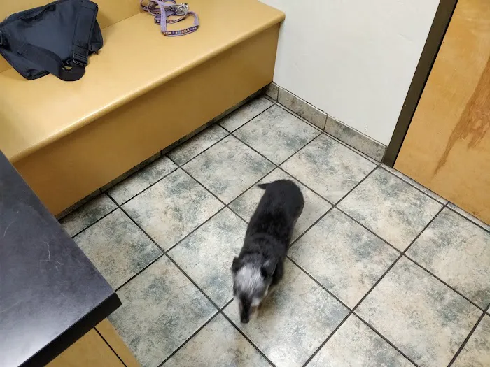 Classen View Veterinary Clinic Picture 4