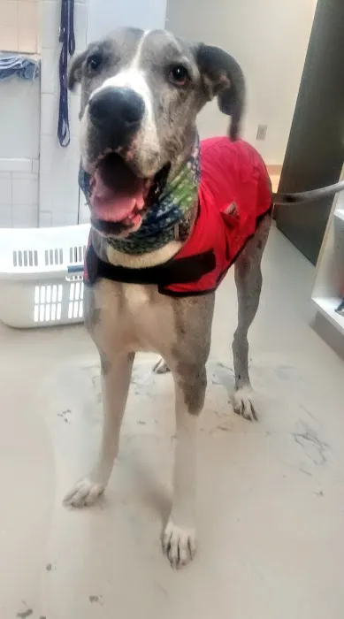 Classen View Veterinary Clinic Picture 7